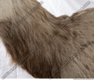 Photo Textures of Fur Deer